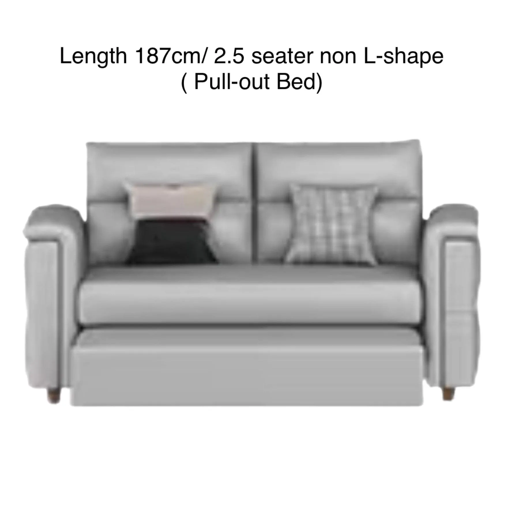 Frederick Sectional Sofa Bed