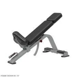 Nautilus Inspiration Adjustable Incline Bench