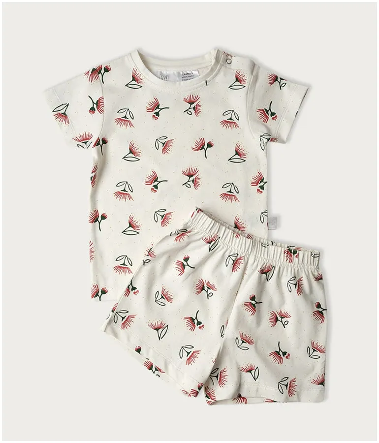 Organic Cotton Short Sleeve PJ Set - Pōhutukawa