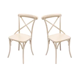 (Set of 2) White Metal Exotic Hue Chair