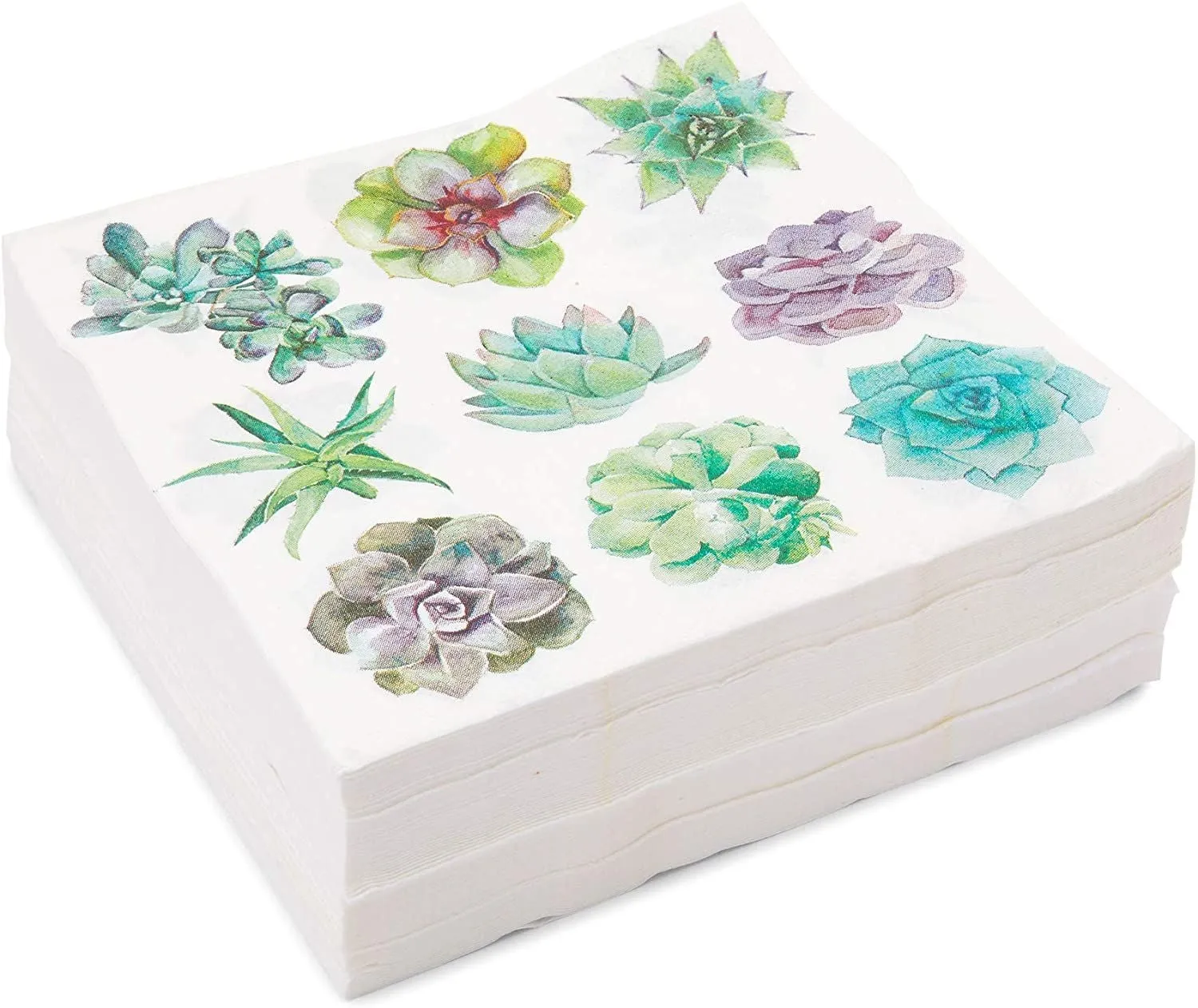 Succulent Paper Napkins for Birthday Party (6.5 In, 100 Pack)